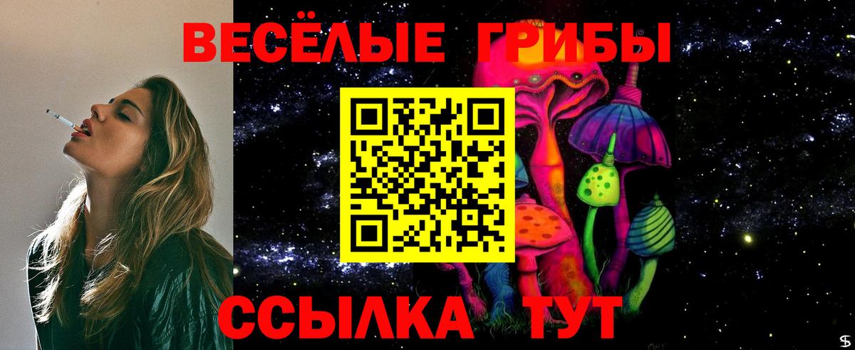 наркотики  Галлюциногенные грибы MAGIC MUSHROOMS  Вход с VPN  Славянск-на-Кубани 